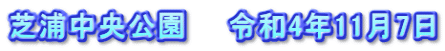 芝浦中央公園　　令和4年11月7日