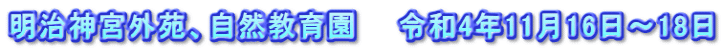 明治神宮外苑、自然教育園　　令和4年11月16日～18日
