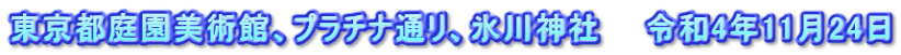 東京都庭園美術館、プラチナ通リ、氷川神社　　令和4年11月24日