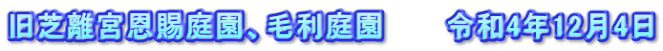 旧芝離宮恩賜庭園、毛利庭園　　　令和4年12月4日