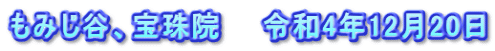 もみじ谷、宝珠院　　令和4年12月20日