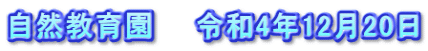 自然教育園　　令和4年12月20日