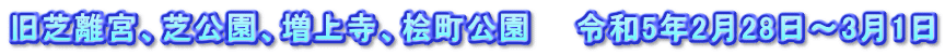 旧芝離宮、芝公園、増上寺、桧町公園　　令和5年2月28日～3月1日