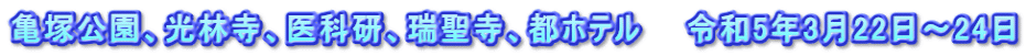 亀塚公園、光林寺、医科研、瑞聖寺、都ホテル 令和5年3月22日~24日