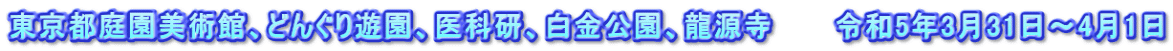 東京都庭園美術館、どんぐり遊園、医科研、白金公園、龍源寺　　　令和5年3月31日～4月1日