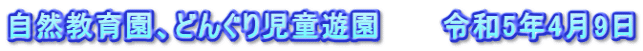 自然教育園、どんぐり児童遊園　　　令和5年4月9日