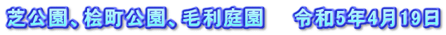芝公園、桧町公園、毛利庭園　　令和5年4月19日