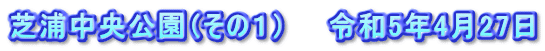 芝浦中央公園（その１）　　令和5年4月27日