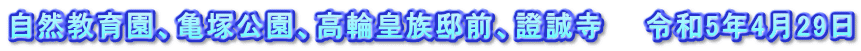 自然教育園、亀塚公園、高輪皇族邸前、證誠寺　　令和5年4月29日