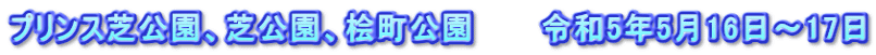 プリンス芝公園、芝公園、桧町公園　　　令和5年5月16日～17日
