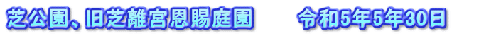 芝公園、旧芝離宮恩賜庭園　　　令和5年5年30日　　　