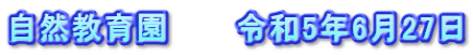 自然教育園　　　令和5年6月27日