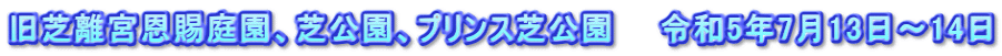 旧芝離宮恩賜庭園、芝公園、プリンス芝公園　　令和5年7月13日～14日