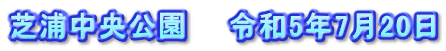 芝浦中央公園　　令和5年7月20日