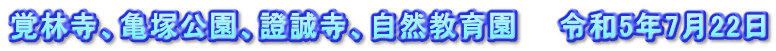 覚林寺、亀塚公園、證誠寺、自然教育園　　令和5年7月22日
