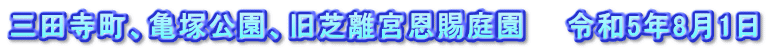 三田寺町、亀塚公園、旧芝離宮恩賜庭園　　令和5年8月1日