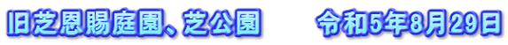 旧芝恩賜庭園、芝公園　　　令和5年8月29日