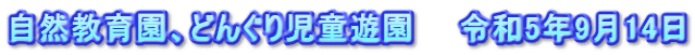 自然教育園、どんぐり児童遊園　　令和5年9月14日