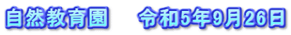 自然教育園　　令和5年9月26日