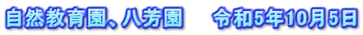 自然教育園、八芳園　　令和5年10月5日