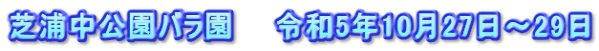 芝浦中公園バラ園　　令和5年10月27日～29日