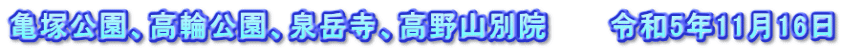 亀塚公園、高輪公園、泉岳寺、高野山別院　　　令和5年11月16日