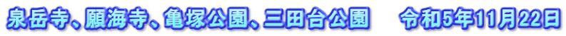泉岳寺、願海寺、亀塚公園、三田台公園　　令和5年11月22日