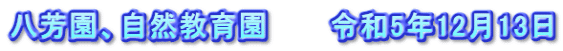 八芳園、自然教育園　　　令和5年12月13日