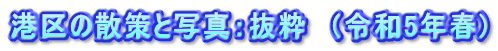 港区の散策と写真：抜粋　（令和5年春)