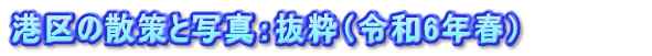 港区の散策と写真：抜粋（令和6年春）          