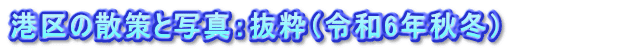 港区の散策と写真：抜粋（令和6年秋冬）          