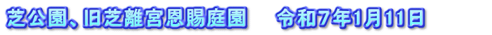 芝公園、旧芝離宮恩賜庭園　　令和７年1月11日　　　　