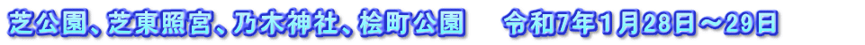 芝公園、芝東照宮、乃木神社、桧町公園　　令和7年１月28日～29日　　　　