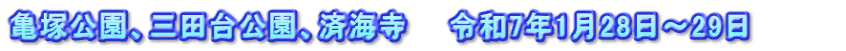 亀塚公園、三田台公園、済海寺　　令和7年1月28日～29日　　　　