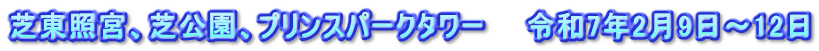 芝東照宮、芝公園、プリンスパークタワー　　令和7年2月9日～12日