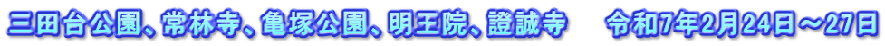 三田台公園、常林寺、亀塚公園、明王院、證誠寺 令和7年2月24日~27日