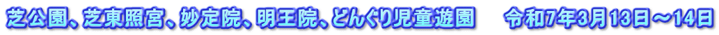 芝公園、芝東照宮、妙定院、明王院、どんぐり児童遊園　　令和7年3月13日～14日