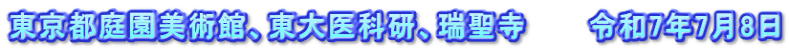 東京都庭園美術館、東大医科研、瑞聖寺　　　令和7年7月8日
