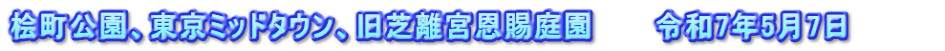 桧町公園、東京ミッドタウン、旧芝離宮恩賜庭園　　　令和7年5月7日　　　　