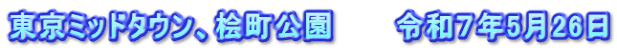 東京ミッドタウン、桧町公園　　　令和７年5月26日