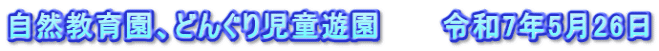 自然教育園、どんぐり児童遊園　　　令和7年5月26日