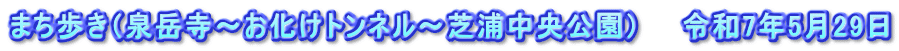 まち歩き（泉岳寺～お化けトンネル～芝浦中央公園）　　令和7年5月29日