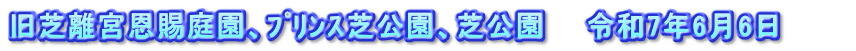 旧芝離宮恩賜庭園、ﾌﾟﾘﾝｽ芝公園、芝公園　　令和7年6月6日　　　