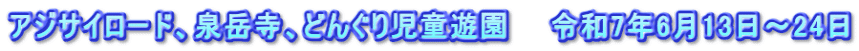 アジサイロード、泉岳寺、どんぐり児童遊園　　令和7年6月13日～24日