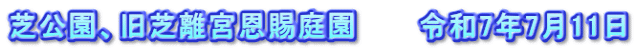 芝公園、旧芝離宮恩賜庭園　　　令和7年7月11日