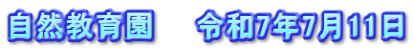 自然教育園　　令和7年7月11日