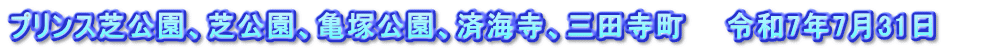 プリンス芝公園、芝公園、亀塚公園、済海寺、三田寺町　　令和7年7月31日　　