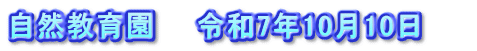 自然教育園　　令和7年10月10日　　