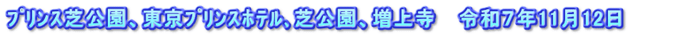 ﾌﾟﾘﾝｽ芝公園、東京ﾌﾟﾘﾝｽﾎﾃﾙ､芝公園、増上寺   令和７年11月12日　　　