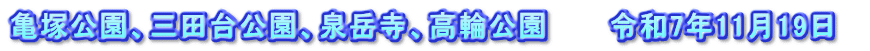 亀塚公園、三田台公園、泉岳寺、高輪公園 令和7年11月19日